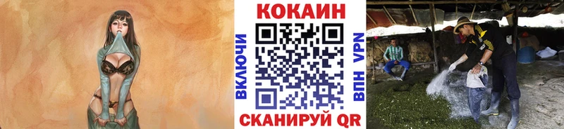 Cocaine Боливия Верхотурье