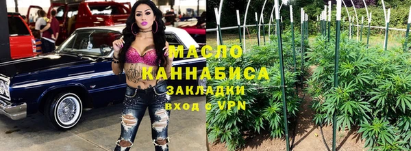 гидра Верхний Тагил