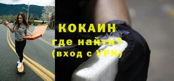 индика Богданович