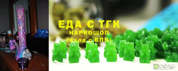 гидра Верхний Тагил