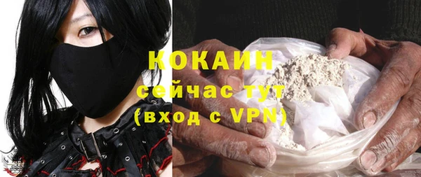 гидра Верхний Тагил