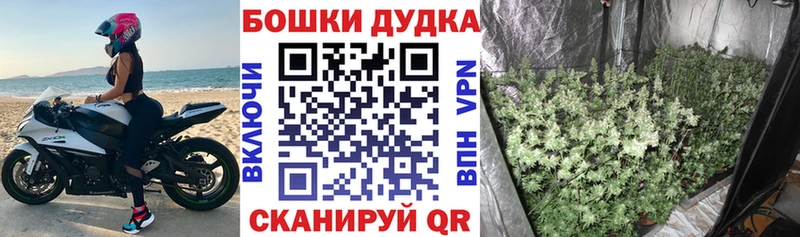 наркота  Верхотурье  МАРИХУАНА конопля 